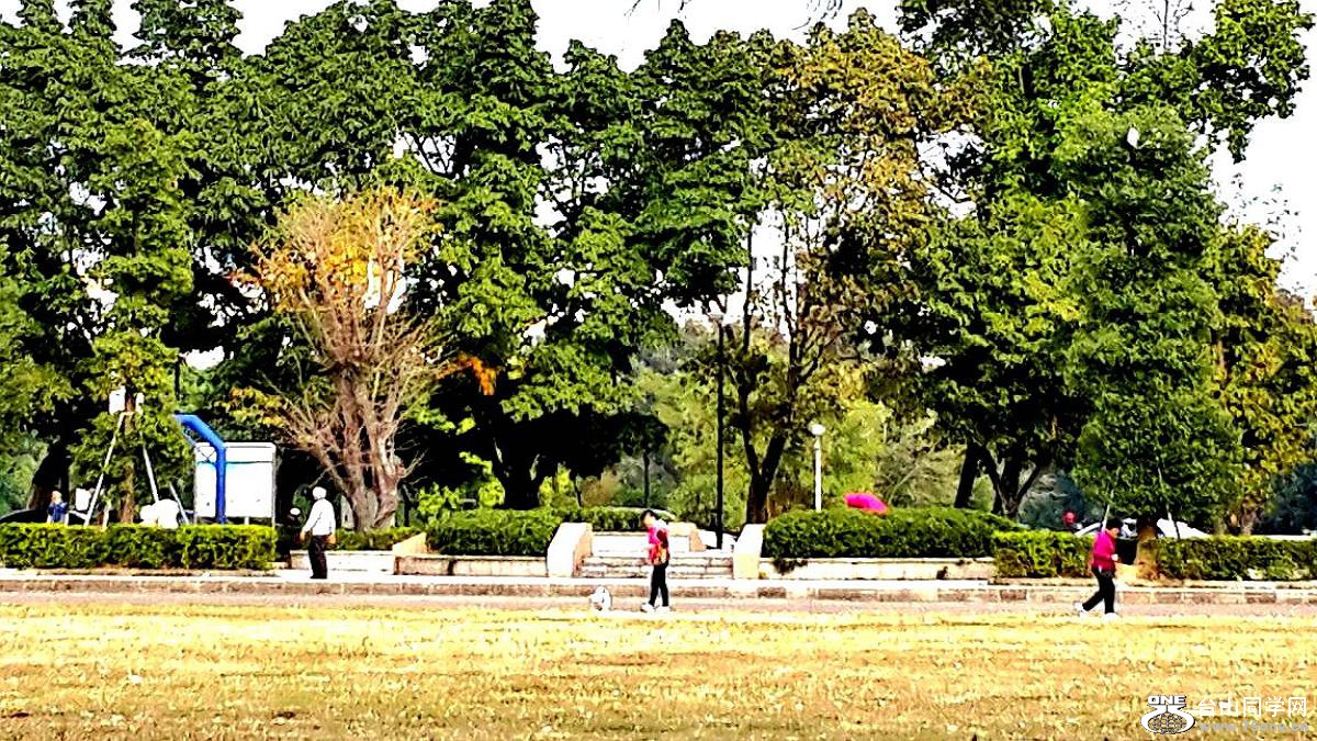 2015-01-28 16.07.16.jpg