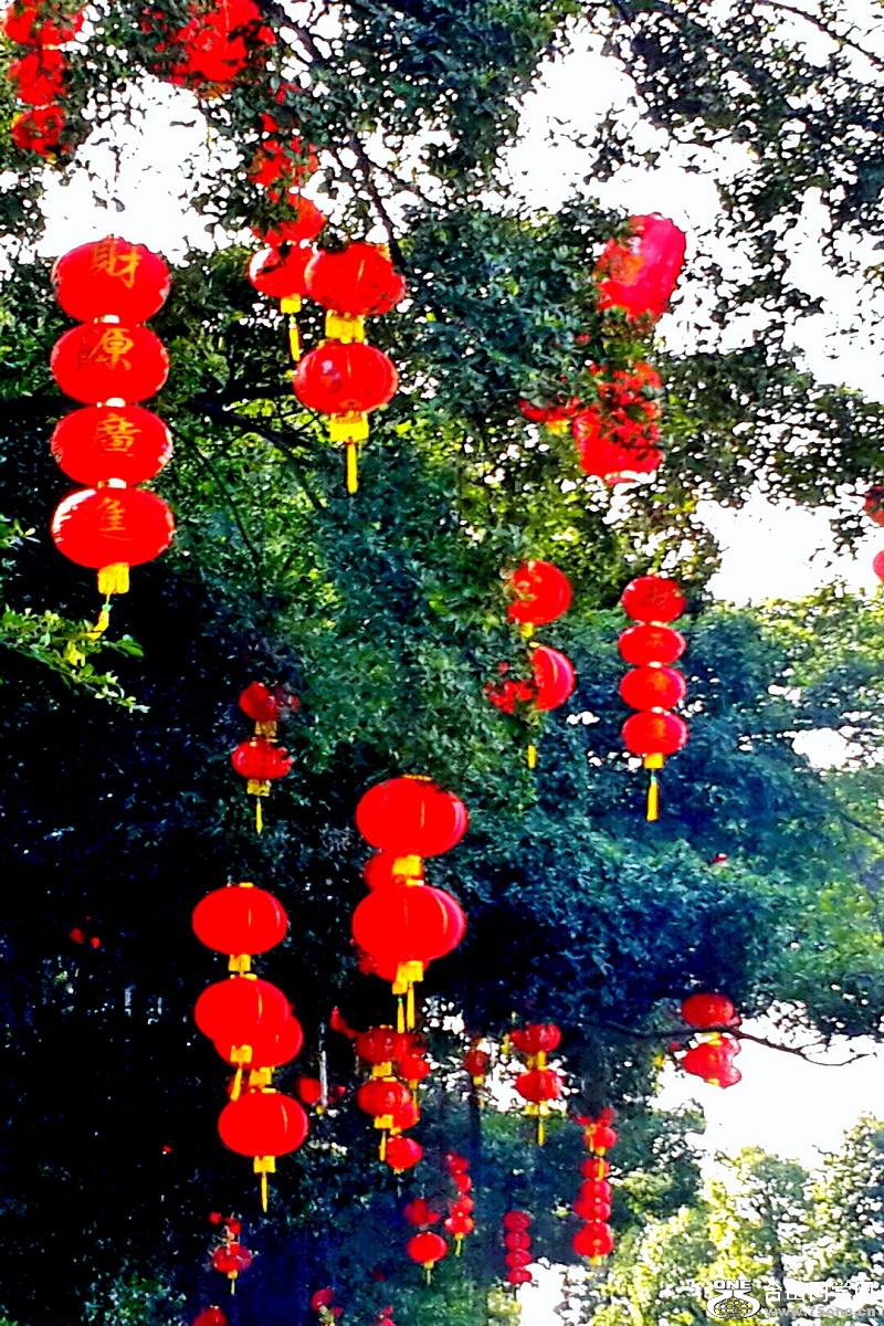 2015-02-13 20.05.03.jpg