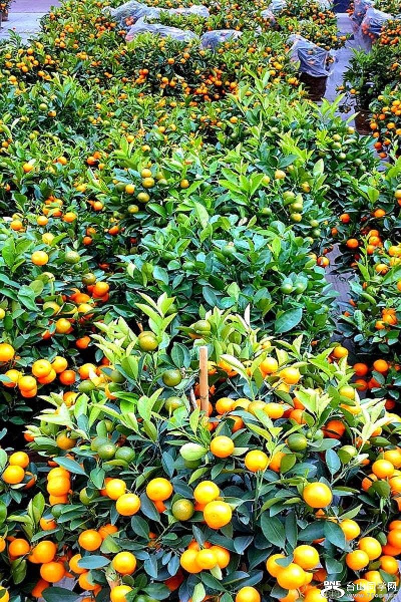 2015-02-13 19.47.12.jpg