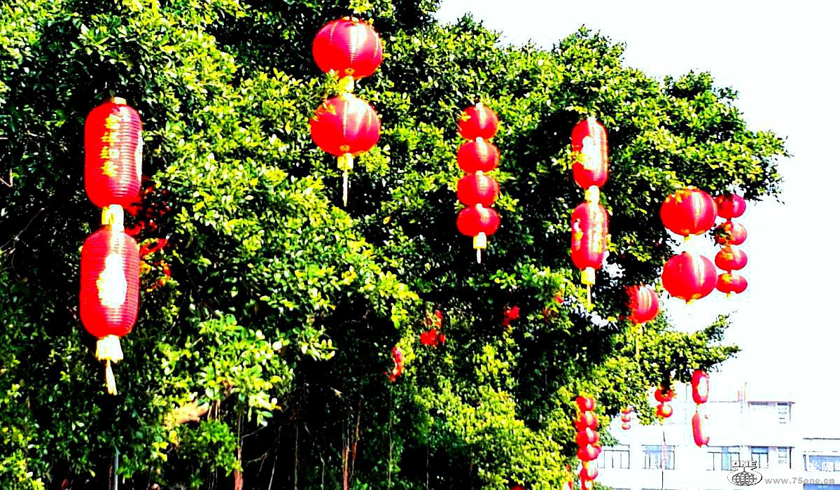 2015-02-13 19.59.16.jpg