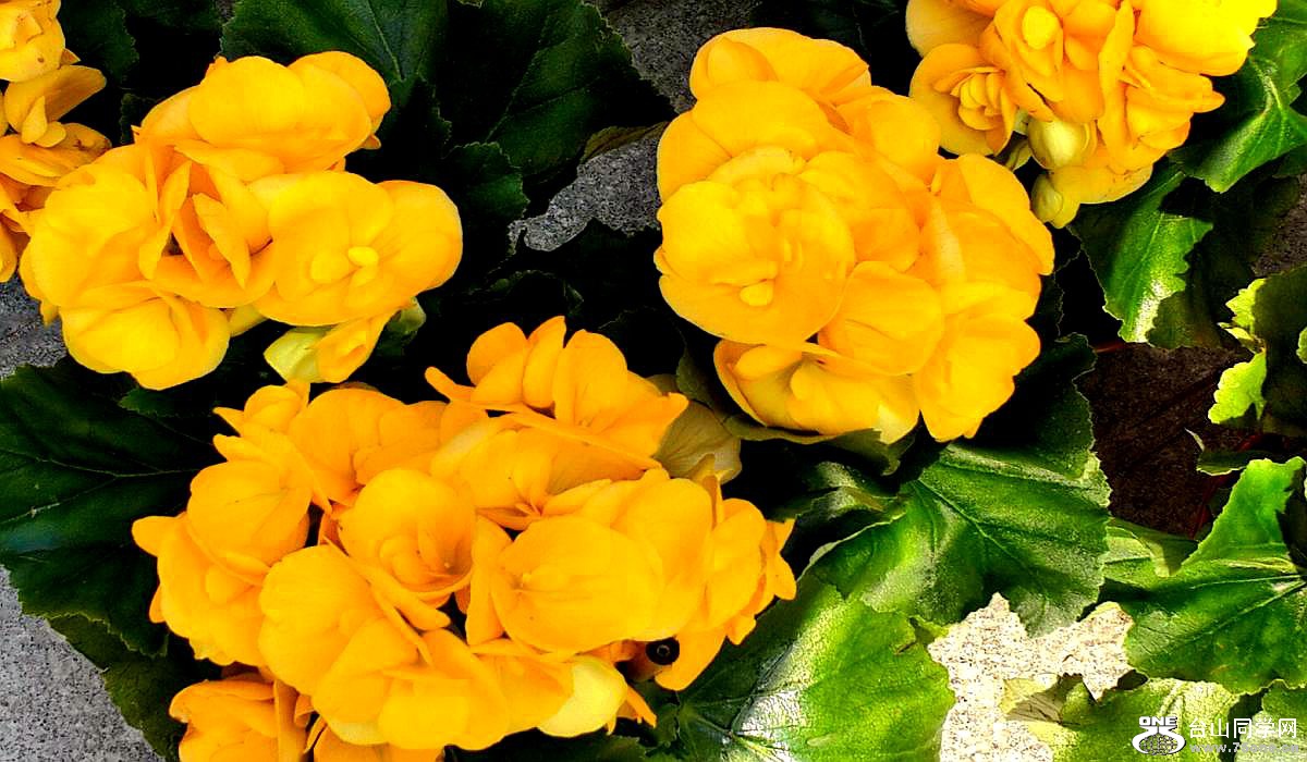 2015-02-13 19.53.17.jpg