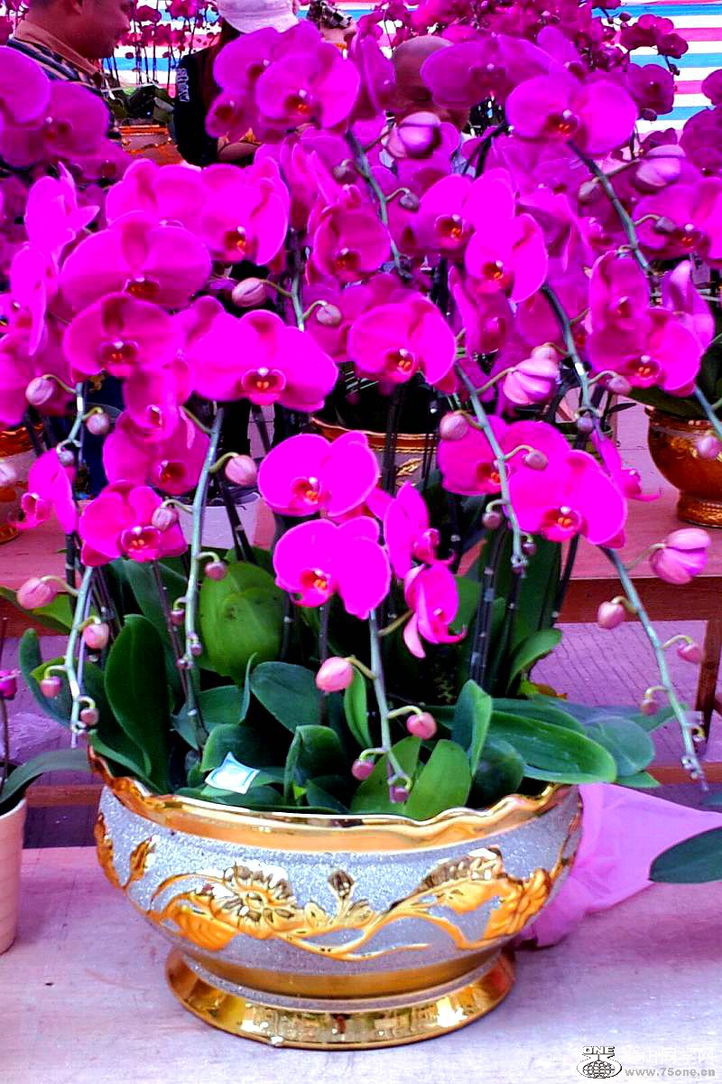 2015-02-13 19.41.54.jpg