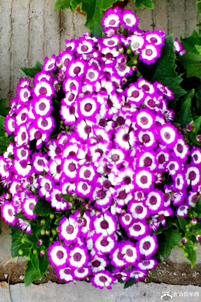 2015-02-13 19.56.07.jpg