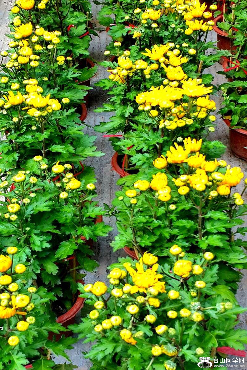 2015-02-13 19.57.26.jpg