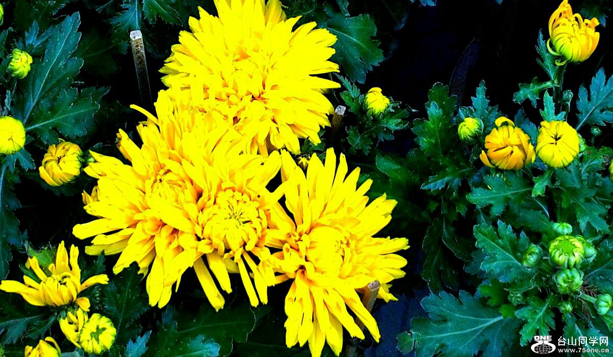 2015-02-13 19.47.56.jpg