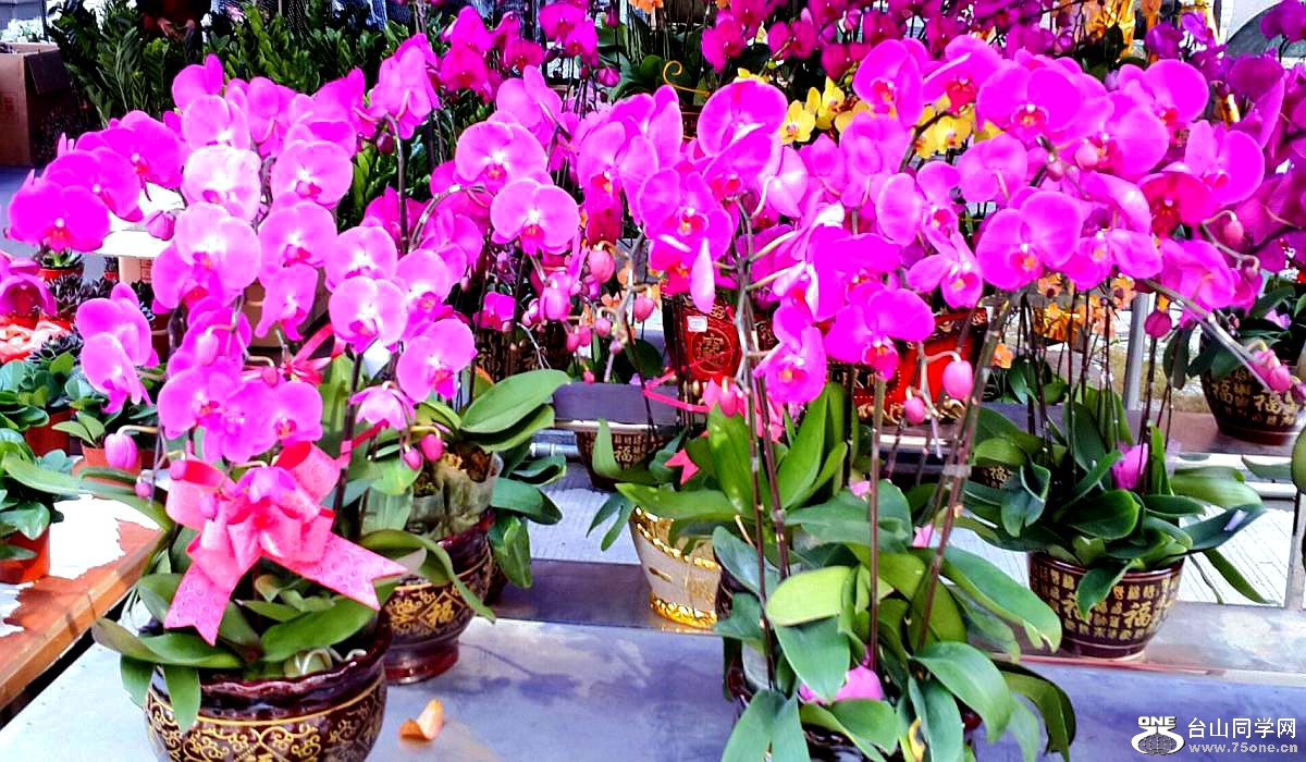 2015-02-13 19.50.40.jpg