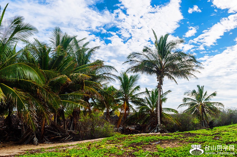 140218-yan&amp;zinaria-HA_4307 iPad Retina_����.jpg