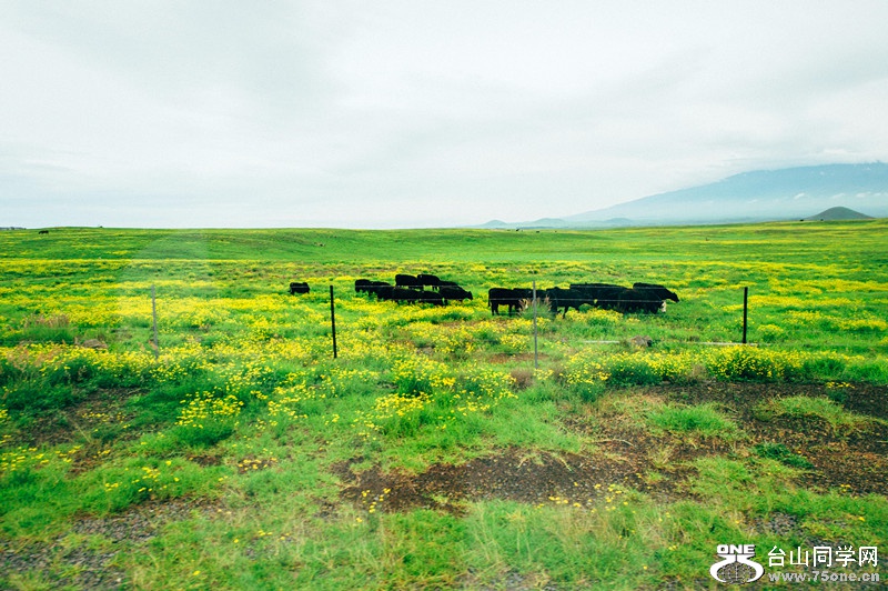 140217-yan&amp;zinaria-HA_1579 iPad Retina_����.jpg