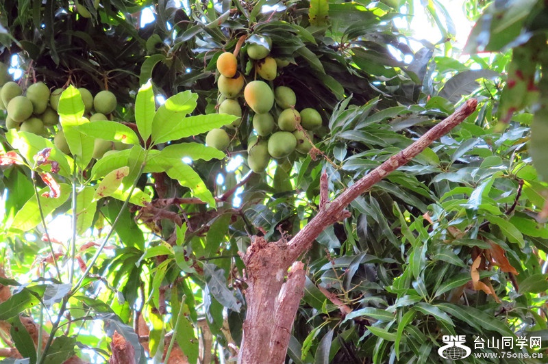 new folder 114_����.jpg