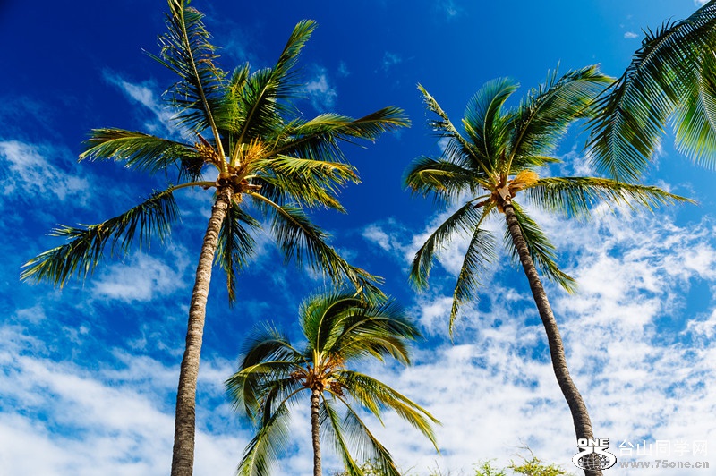 140218-yan&amp;zinaria-HA_4541 iPad Retina_����.jpg