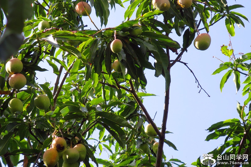 new folder 115_����.jpg