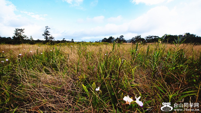 140219-yan&amp;zinaria-HA_4919 iPad Retina_����.jpg