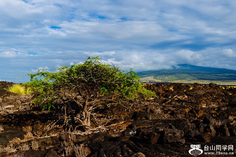 140218-yan&amp;zinaria-HA_4567 iPad Retina_����.jpg