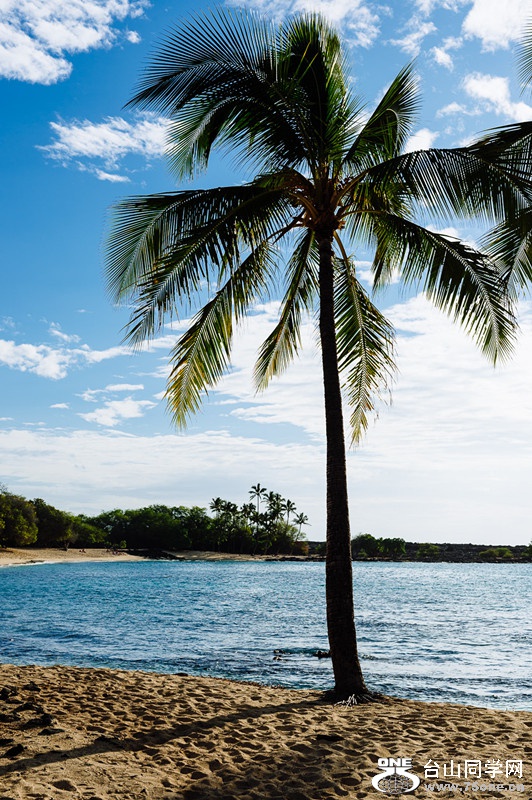 140218-yan&amp;zinaria-HA_4513 iPad Retina_����.jpg