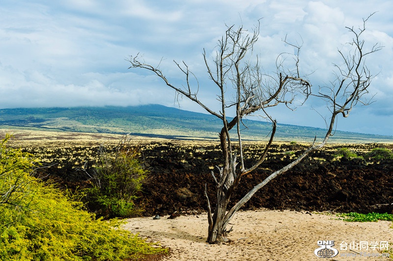 140218-yan&amp;zinaria-HA_4373 iPad Retina_����.jpg