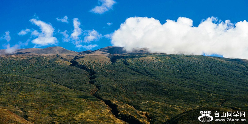 140219-yan&amp;zinaria-HA_4714 iPad Retina_����.jpg