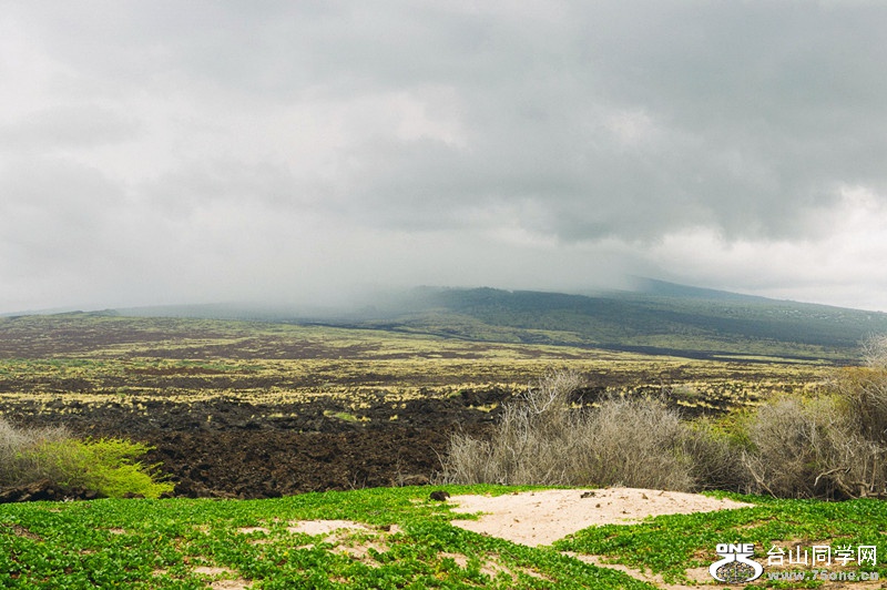 140218-yan&amp;zinaria-HA_3573 iPad Retina_����.jpg