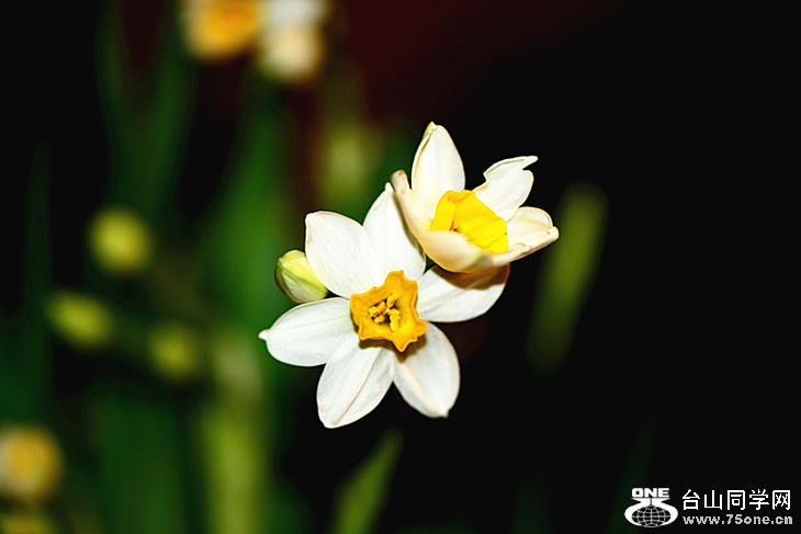 DSC_7764_.jpg