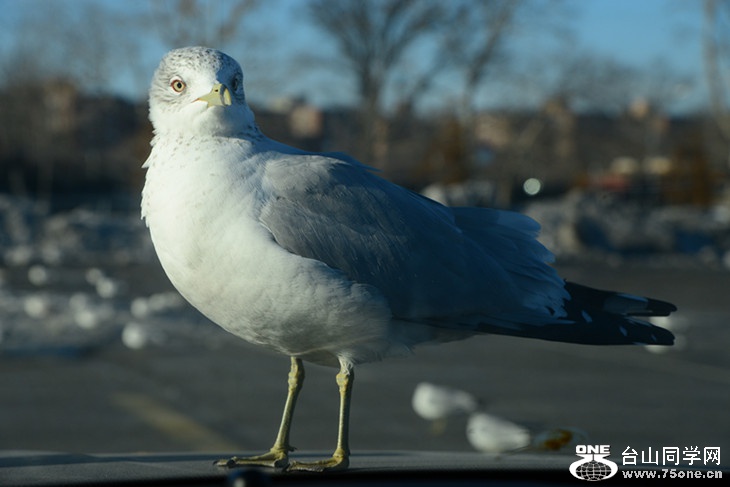 DSC_7555_.jpg