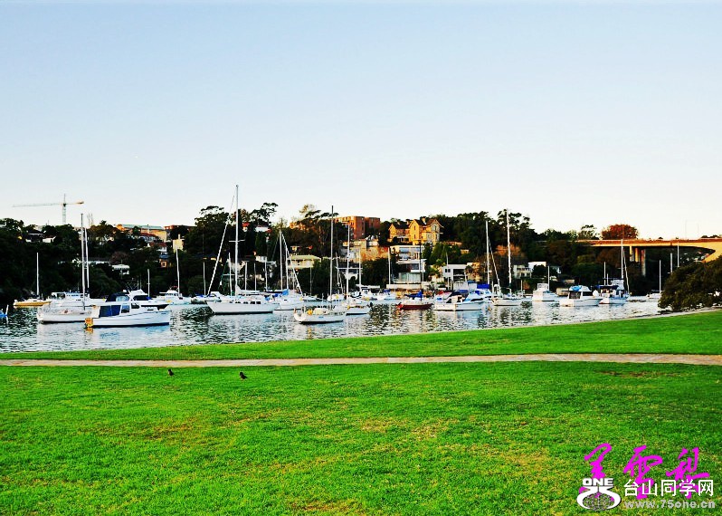 DSC_3507_conew1.jpg