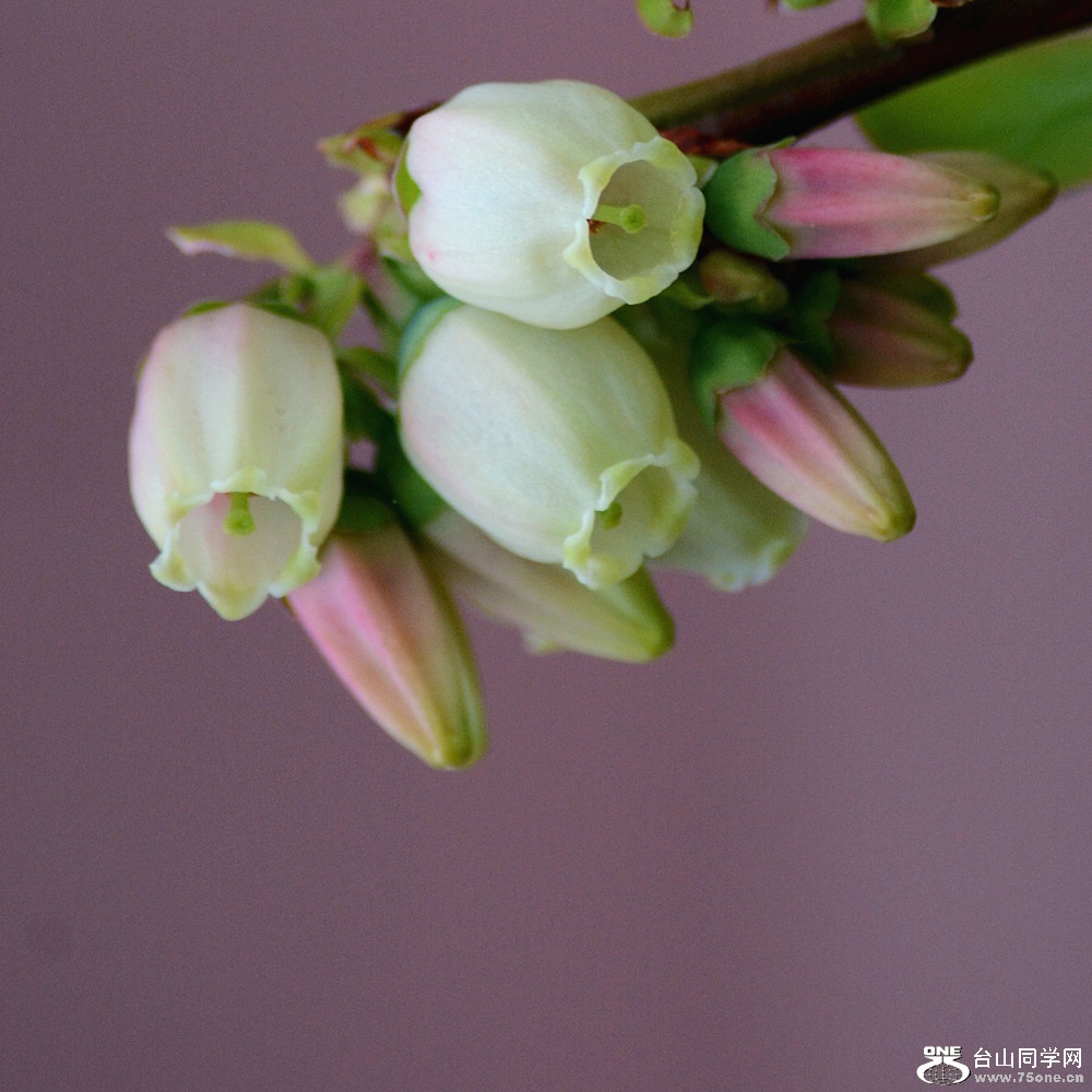 DSC_5540_50.jpg