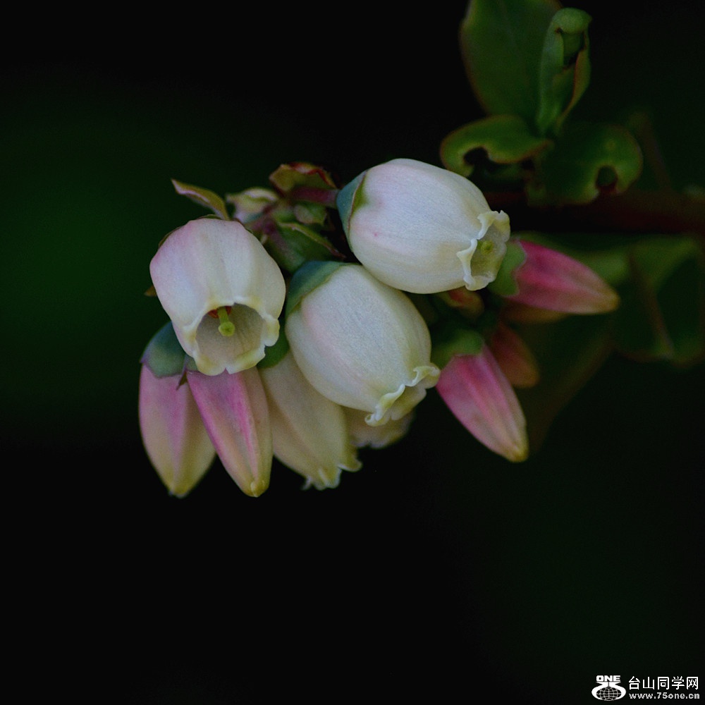 DSC_5655_32.jpg