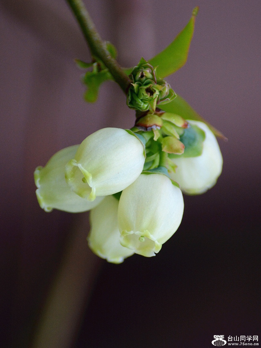 DSC_5537_58.jpg