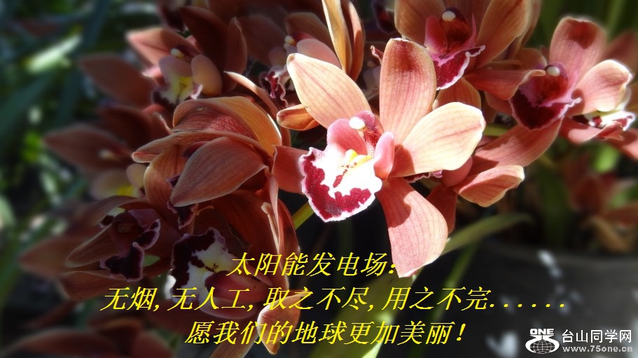 Ըǵĵ.jpg