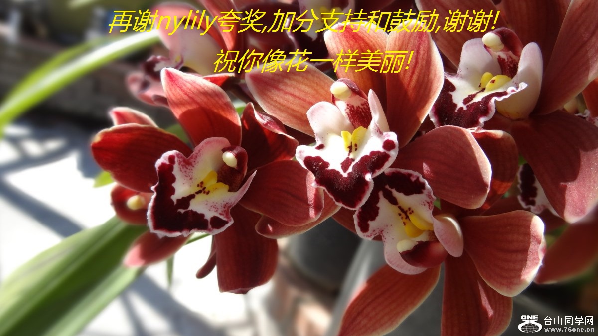 лnylily佱,ӷֺ֧͹,лл!ףһ!.jpg