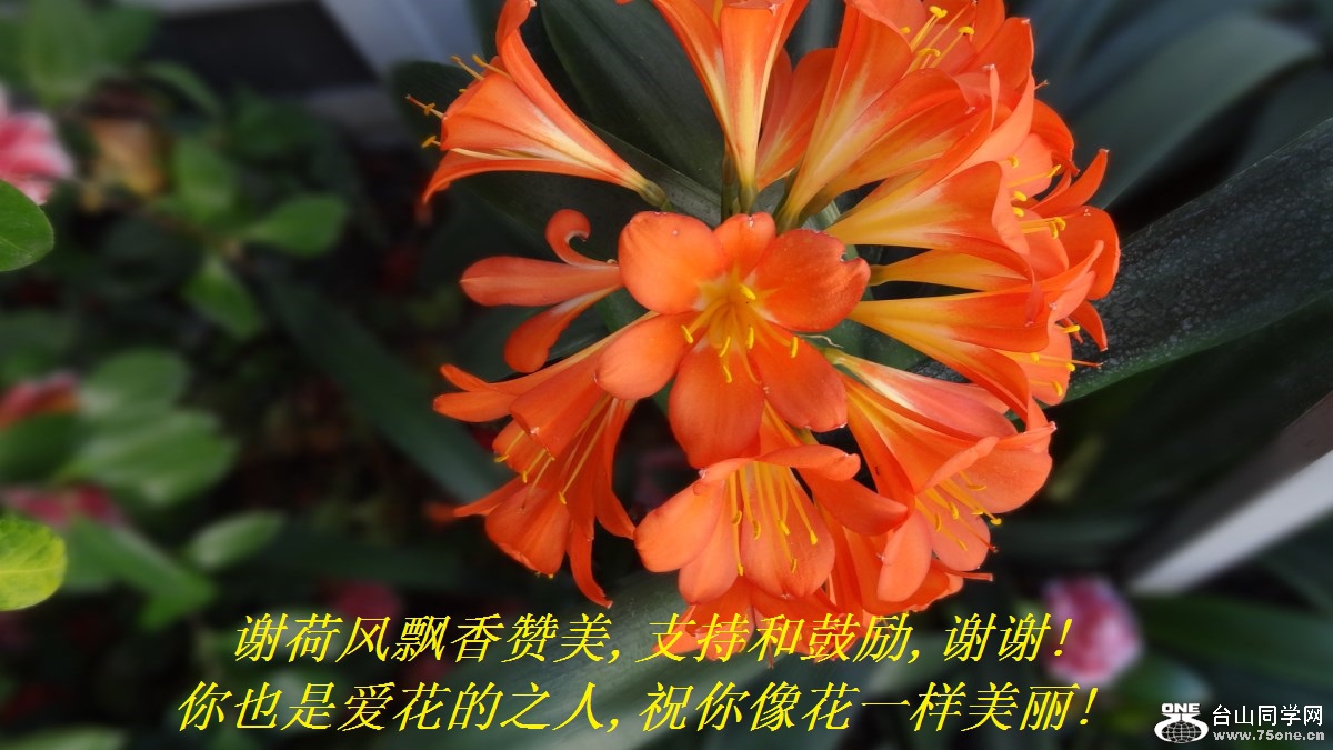лɷƮ,ֺ֧͹,лл!Ҳǰ֮,ףһ!.jpg