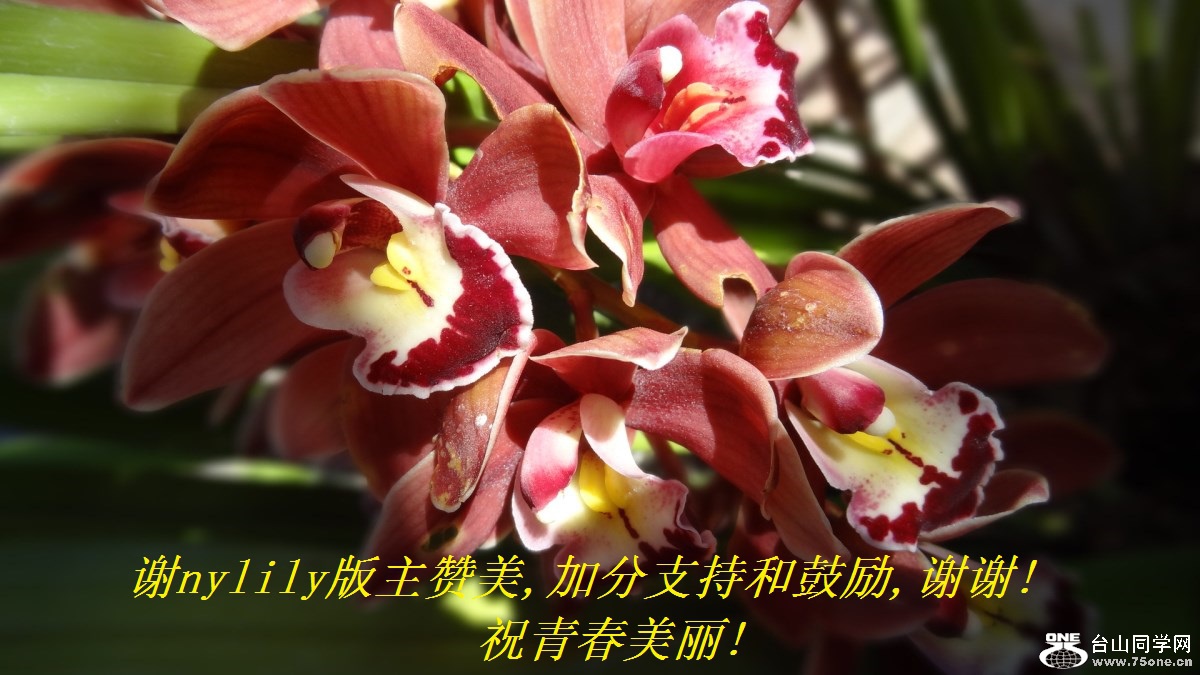 лnylily,ӷֺ֧͹,лл!ףഺ!.jpg
