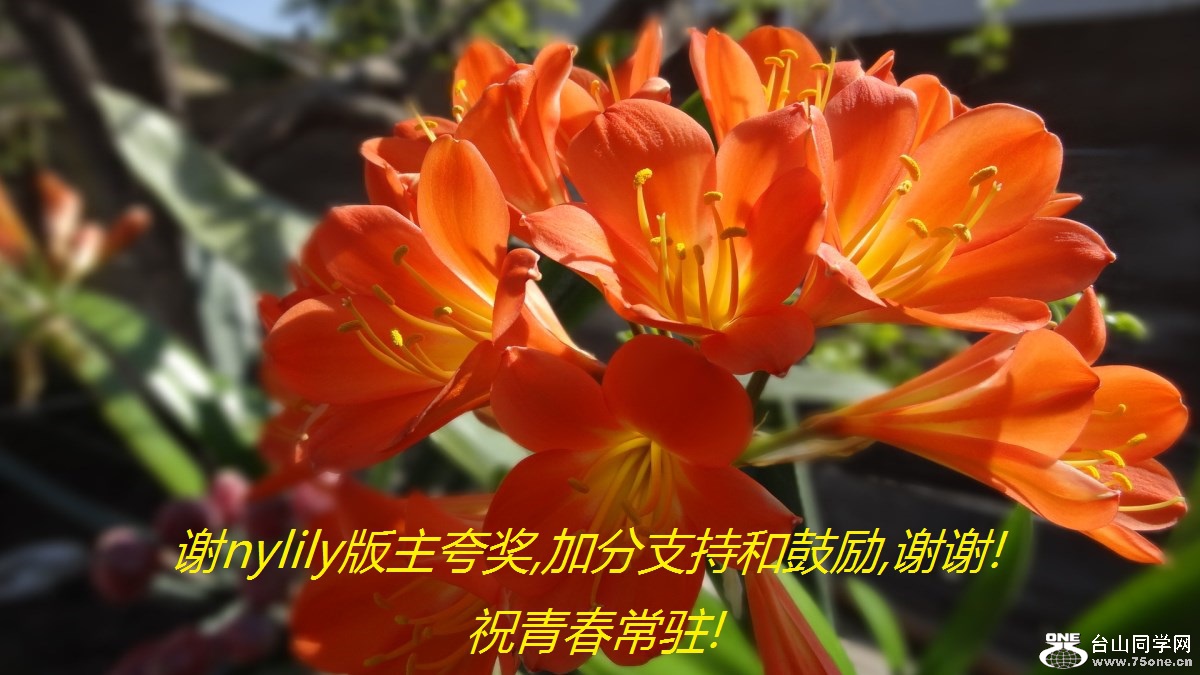 лnylily佱,ӷֺ֧͹,лл!ףഺפ!.jpg