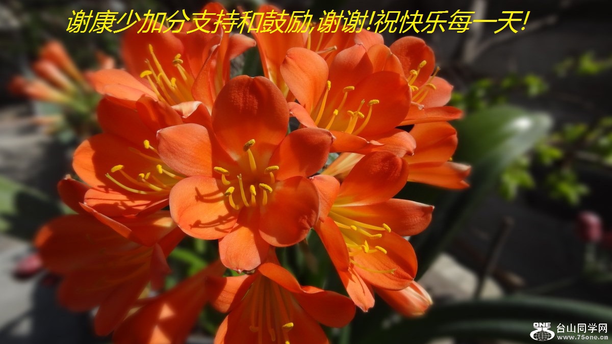 лټӷֺ֧͹,лл!ףÿһ!.jpg