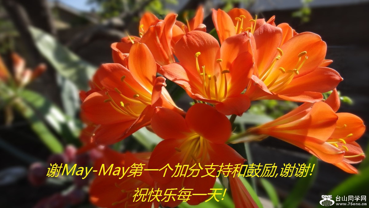 лMay-Mayһӷֺ֧͹,лл!ףÿһ!.jpg