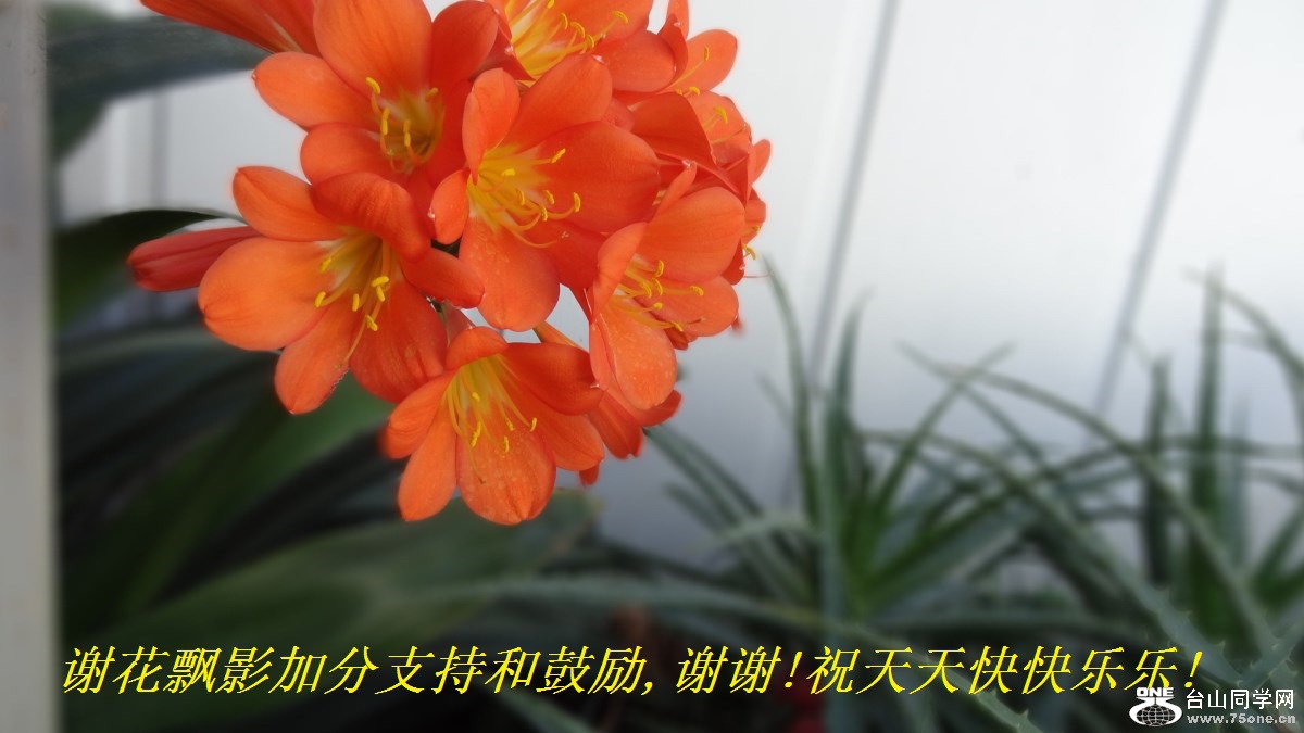 лƮӰӷֺ֧͹,лл!ף!.jpg