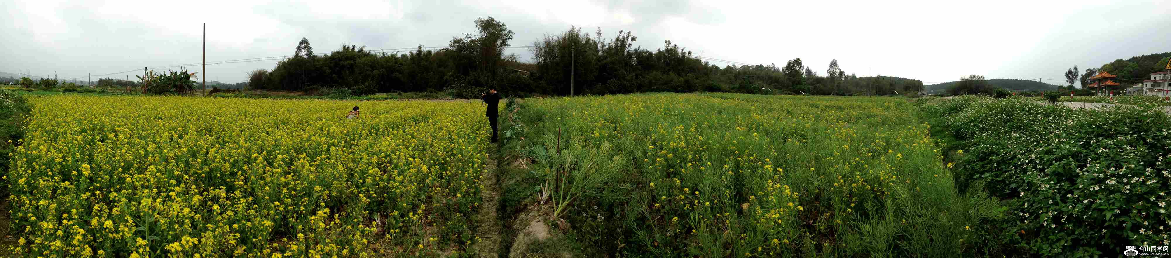 2015-02-22 143202.jpg