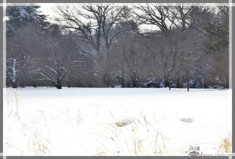 _MG_7256_meitu_11.jpg