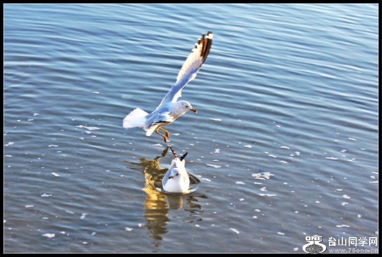 IMG_001a.JPG
