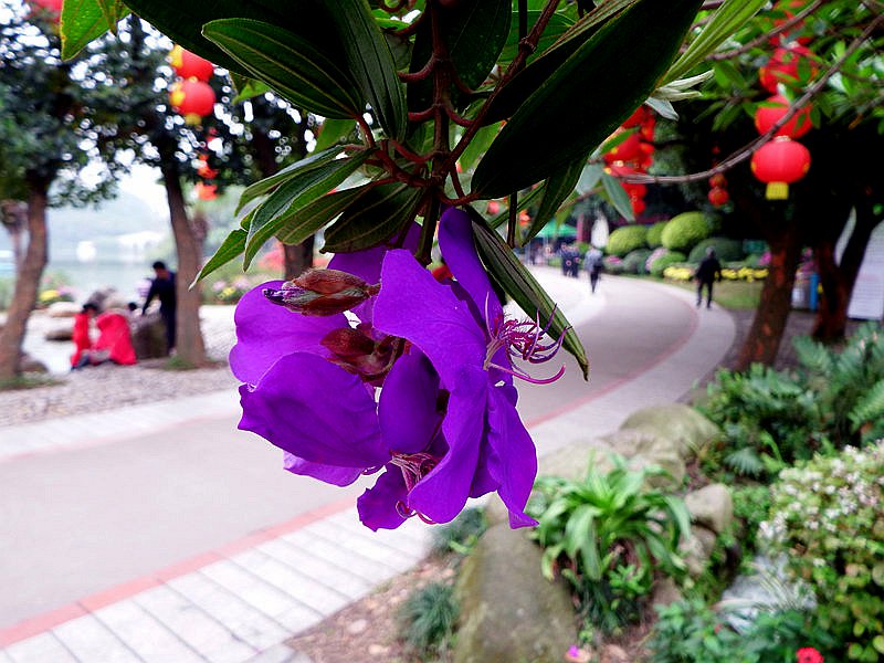 IMG_3375.jpg