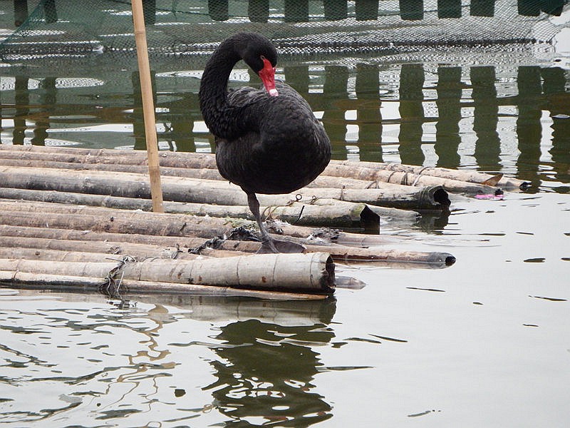 IMG_3399.jpg