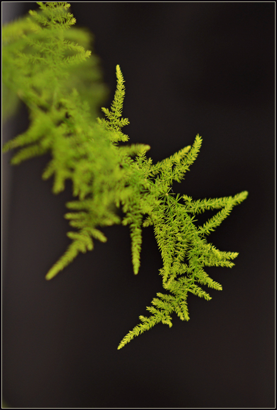 DSC_5679.jpg