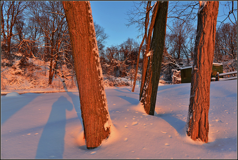 DSC_2232.jpg