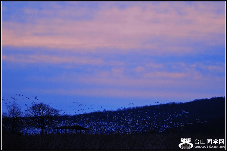 DSC_9624.JPG