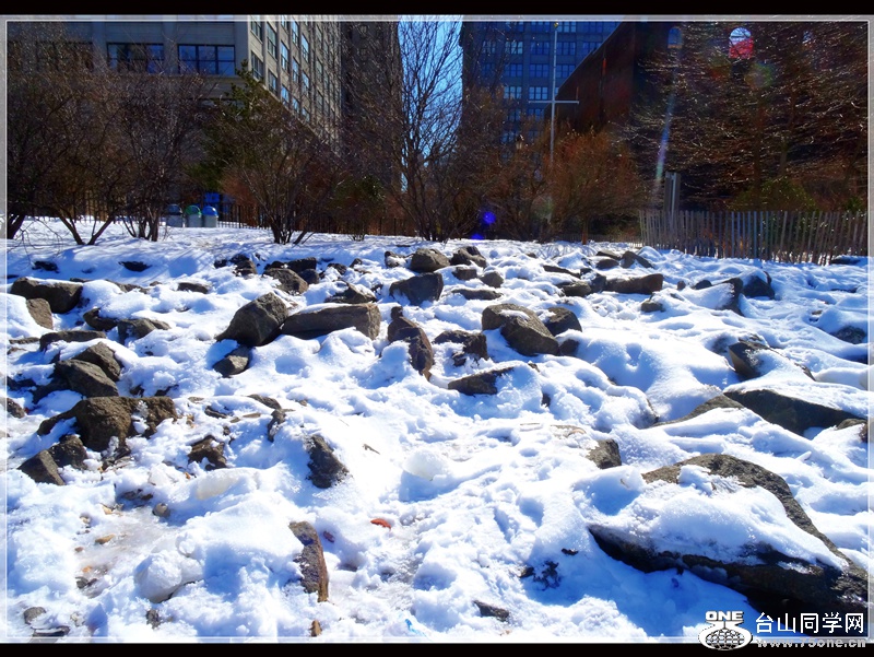 DSC00982.JPG
