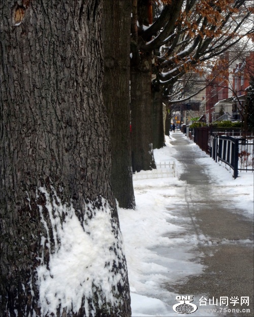 DSC01010_conew2.jpg