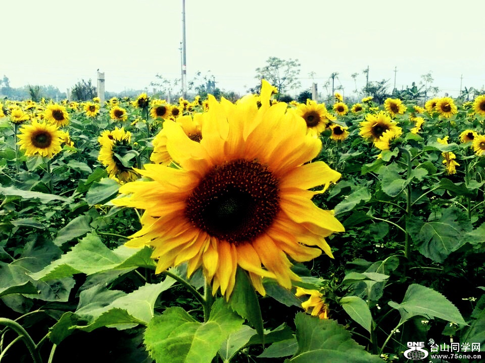 20150310200929.jpg