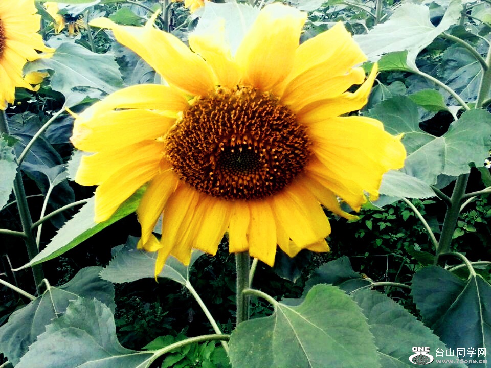 20150310200947.jpg