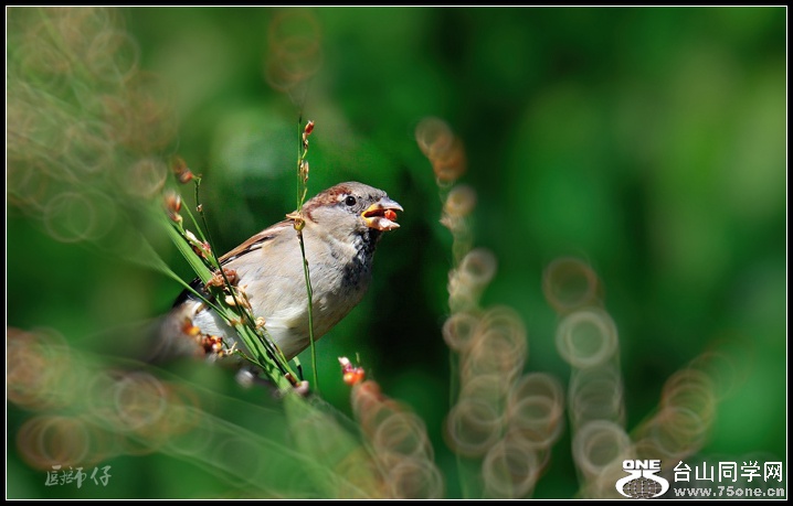DSC_5917.jpg
