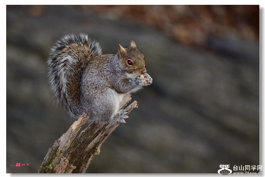 DSC_7171__.jpg