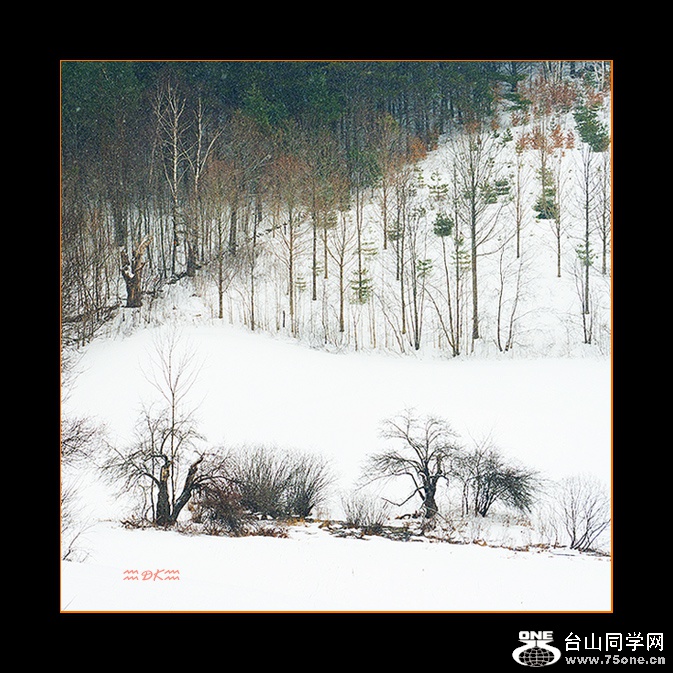 DSC_6025C.jpg